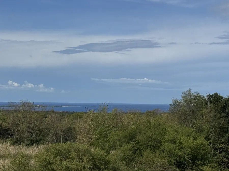 Blick über das Grün aufs Meer
