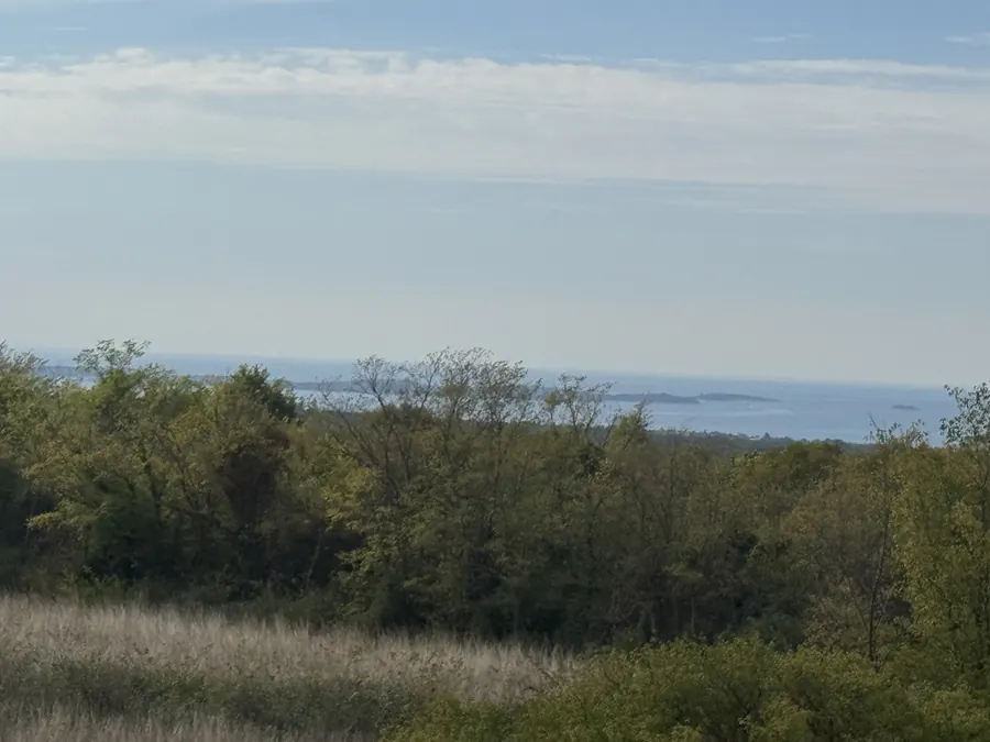 Meer hinter den Baumkronen