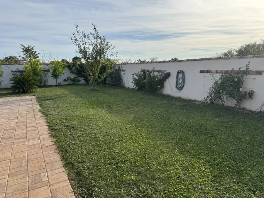 Garten mit Rasen und Obstbäumen